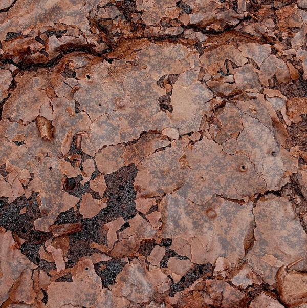 Chocolate Brownies (500 gm) - Image 2